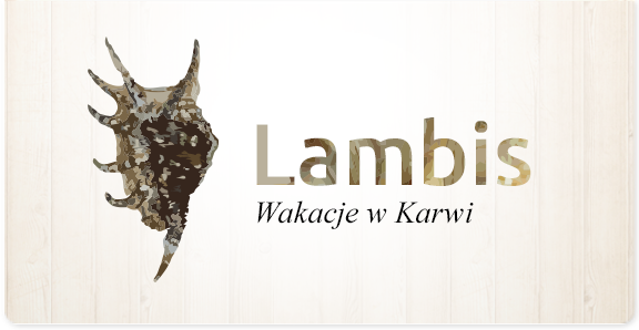 Pokoje Lambis